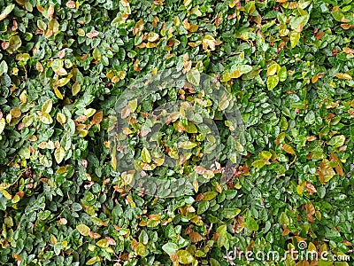 Rusted metal texture, metal exposed to time, rusty old metal, metal background. Stock Photo